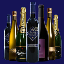 电话呼叫软件网页版