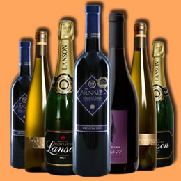 电话呼叫软件网页版